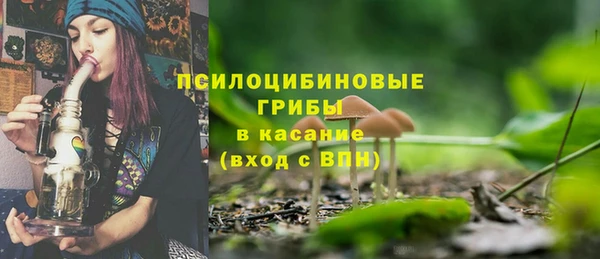 твердый Домодедово