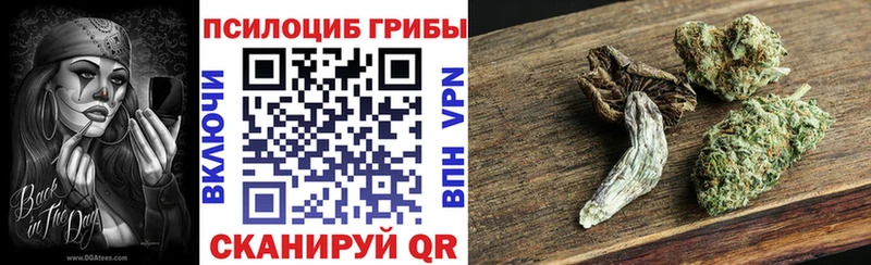 Псилоцибиновые грибы Psilocybine cubensis  Серпухов 